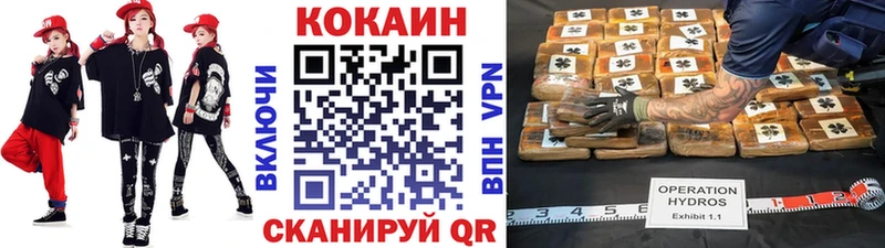 Cocaine FishScale  сколько стоит  Верхоянск 